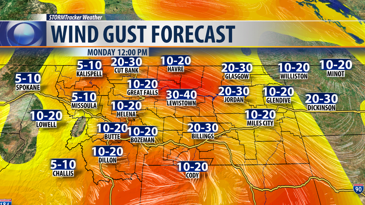 Breezy conditions tomorrow